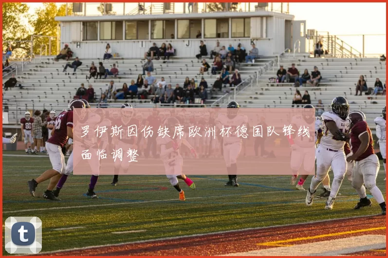 罗伊斯因伤缺席欧洲杯德国队锋线面临调整