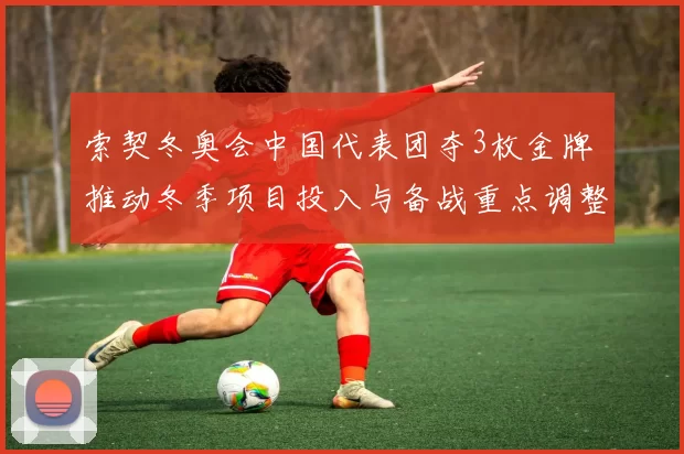 索契冬奥会中国代表团夺3枚金牌 推动冬季项目投入与备战重点调整